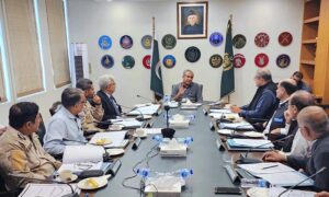 Federal Minister for Interior and Narcotics Control Mohsin Naqvi chairing a meeting of Committee regarding National Drug Survey.