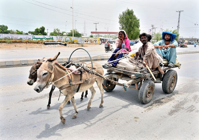A nomad family travels on their donkey cart, heading towards a new destination for their stay in the city