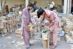 Labourers are packing seasonal fruit mangoes in wooden boxes