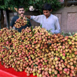 Vendor displaying fruit Lychee to attract the customers at roadside in the city