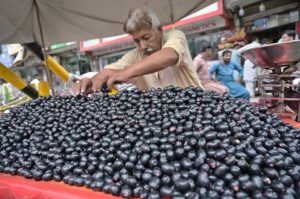 A vendor selling seasonal fruit black plum on his handy cart at Gole Chowk in the city.