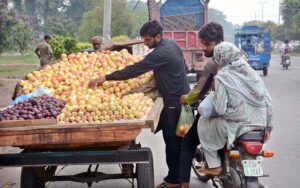 A motorcyclist stops to buy seasonal plums and apples from a street vendor at his roadside setup in the city.