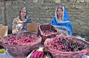 Business women of local community displaying cherry for selling purpose for tourists.