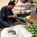 A vendor is cutting mangoes for making pickle at Jhang Bazaar