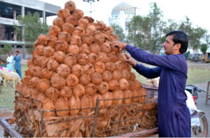 A street vendor expertly arranges coconuts on his handcart, creating an enticing display to attract passing customers in the Provenicial Capital.