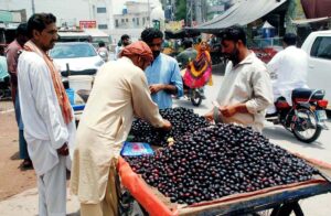 People purchasing seasonal fruit Jaman from vendor at roadside.