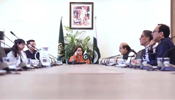 Coordinator to PM on Climate Change, Romina Khurshid Alam chairing Second Review Meeting of PM's Committee to establish mountaineering school in Gilgit-Baltistan held in the Climate Change and Environmental Coordination Ministry