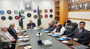 Interior Minister Mohsin Naqvi chairing a meeting regarding over-billing of protected consumers