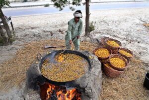 A farmer boils dates after harvesting them from his field.