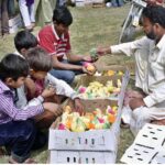 Children are buying colorful chicks from street vendor on the roadside in the city