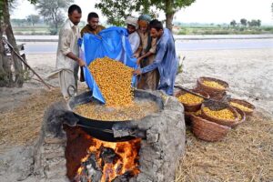 A farmer boils dates after harvesting them from his field.