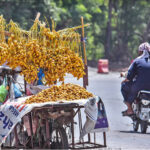 A street vendor displaying dates on his handcart at roadside setup to attract customers at Lehtrar Road