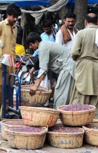 A vendor weighing and selling seasonal fruit (Falsa) to the retailer at a Fruit Market.
