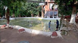 Flamingo birds enjoy bathing in a water pond at Lake View Bird’s Aviary.