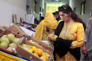 Visitors explore a variety of mangoes at the mango festival at Nawaz Sharif Agricultural University.