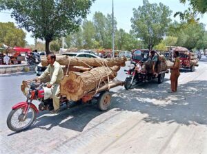Timber-laden motorcycle cart holder on its way in the city.