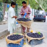 Fruit Seller Selling out seasonal fruit Black Plum "Jaman" with surprising health benefit in the city