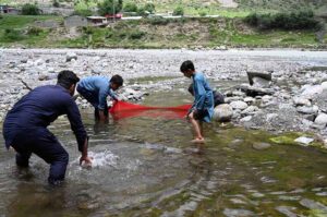 Visitors catching fishes in traditional way at Nalter river