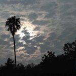 A beautiful view of clouds hovering over the skies of the Provincial Capital