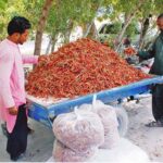 Vendor selling red chilies under the shade of a tree during hot weather in the city