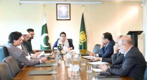 Minister of State for IT and Telecommunication, Ms. Shaza Fatima Khawaja chairing first meeting of Functional Committee on Information Technology and Telecommunication