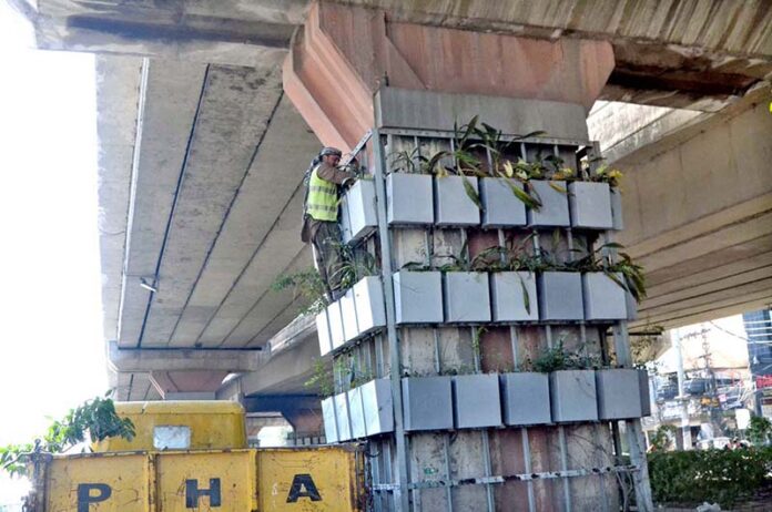 PHA workers planting new saplings development during plantation drive under Metro bridge