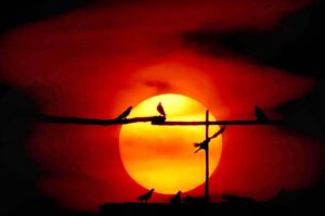An attractive view of sunset over the sky of the Provincial Capital.