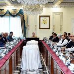 Prime Minister Muhammad Shehbaz Sharif chairs a meeting on solarization of agriculture tubewells and anti-power theft campaign