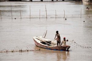 Fishermen setting net for catching fishes at Rice Canal