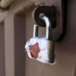 LDA seals 58 illegal commercial properties