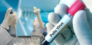 Pakistan reports new WPV1 case