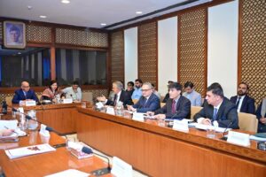 DPM Dar briefs Senate Standing Committee about Pak’s foreign policy