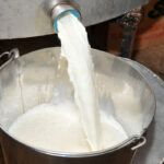 PFA discards 5,000 liters of contaminated milk