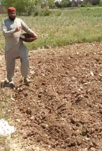 Climate shift sowing seeds of uncertainty in Pakistan’s fields