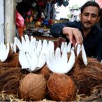 A vendor showcases fresh coconuts, enticing customers at Abpara Market in the Federal Capital