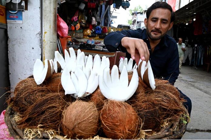 A vendor showcases fresh coconuts, enticing customers at Abpara Market in the Federal Capital