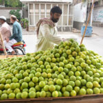 A vendor displays seosonal fruit Sweet Lime on his handcart at roadside in the City