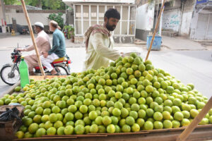 A vendor displays seosonal fruit Sweet Lime on his handcart at roadside in the City