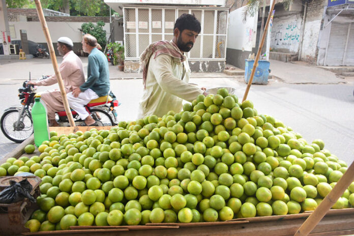 A vendor displays seosonal fruit Sweet Lime on his handcart at roadside in the City