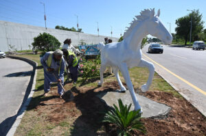 CDA workers installing Horse Cart replica at Rawal Chowk during beautification of the city