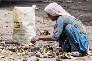 A gypsy woman collecting discarded bananas from the garbage