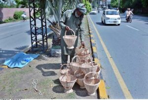 An elderly vendor displaying hand-made baskets to attract customers at roadside.