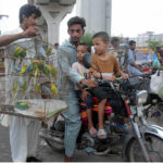 Bird lovers show interest in Australian parrots at the bird market
