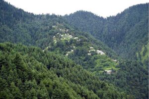 A mesmerizing view of nature's beauty at Nathia Gali Park, revealing the divine artistry of the natural world.