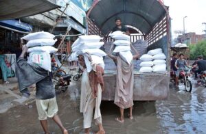 Labourers busy in unloading flour bags from delivery truck.