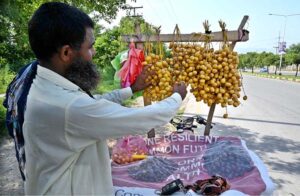 A vendor arranging and displaying fresh dates to attract the customers in Federal Capital.
