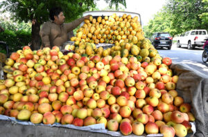 A vendor displays apples along the roadside to attract the customers.