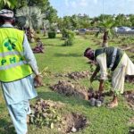 PHA gardeners busy sapling plants in connection with monsoon plantation drive