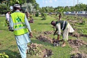 PHA gardeners busy sapling plants in connection with monsoon plantation drive