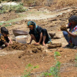 Women busy in preparing the dung cakes to use as fuel for domestic fires in outskirts area in the city